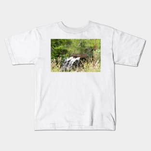 4212015 water Kids T-Shirt